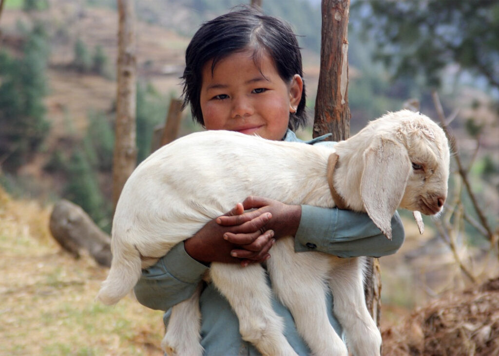 Sherpa Kid with Lamb