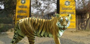 Bardiya-national-park-with-tiger.