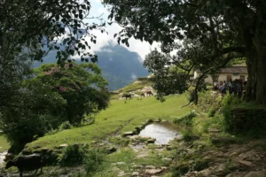 Darbang