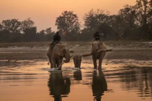 3-Day Bardiya National Park Wildlife Tour