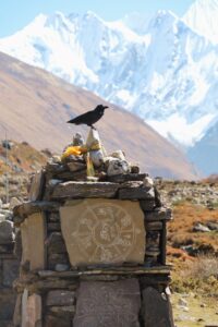 Kyanjin Gompa Nepal Trekking