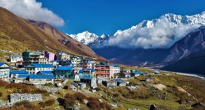 Langtang Valley Trekking and Bardiya National Park Tour