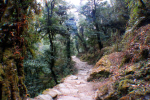 nayapul to pokhara