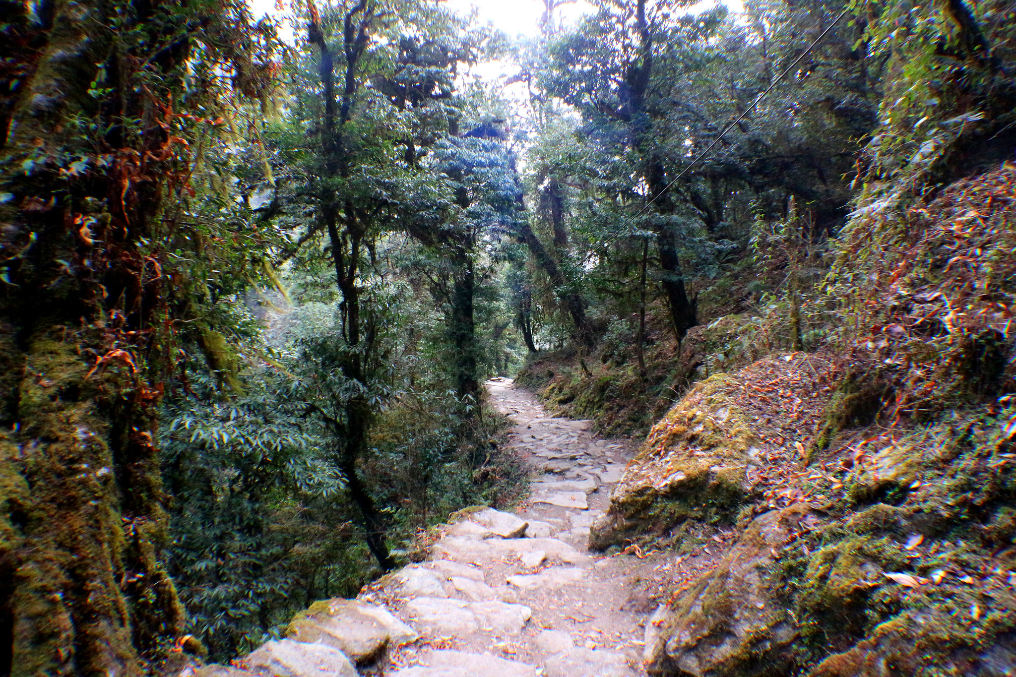 nayapul to pokhara