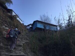 upper sinawa
