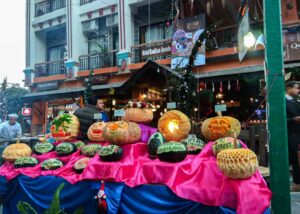 Food Stalls in Pokhara Street Festival