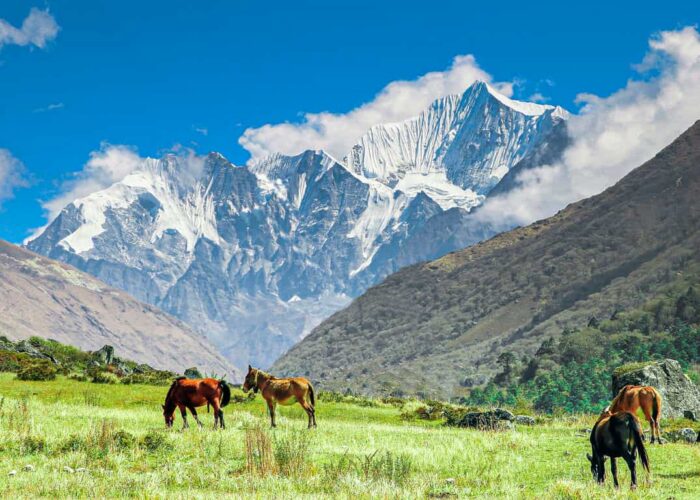 Langtang National Park