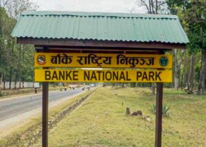 Banke National Park