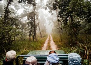 Parsa National Park Jungle Safari