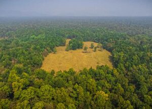 Parsa National Park Location and Weather