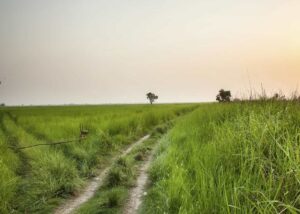Shuklaphanta National Weather and Climate