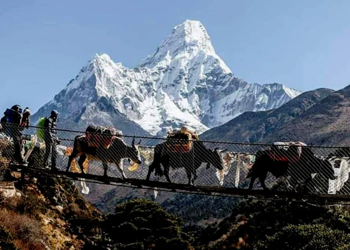 Ama Dablam Base Camp