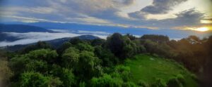 Chepang Hill Trek with Chitwan Safari – 13 Days