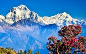 short ghorepani poonhill trek