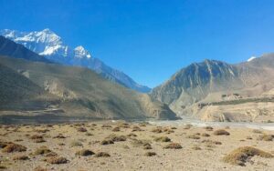 short lower mustang trek