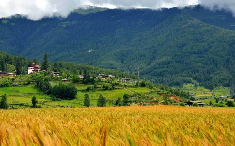 Bumthang family destination Bhutan.