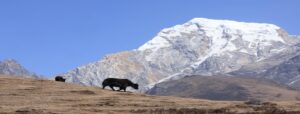 Everest Base Camp Trek for Indian Citizens: Cost Breakdown