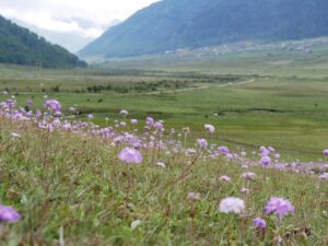Scenic Phobjikha Valley Bhutan, featured in Bhutan heritage tour