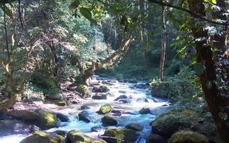 shivapuri Romantic Short Hikes in Nepal